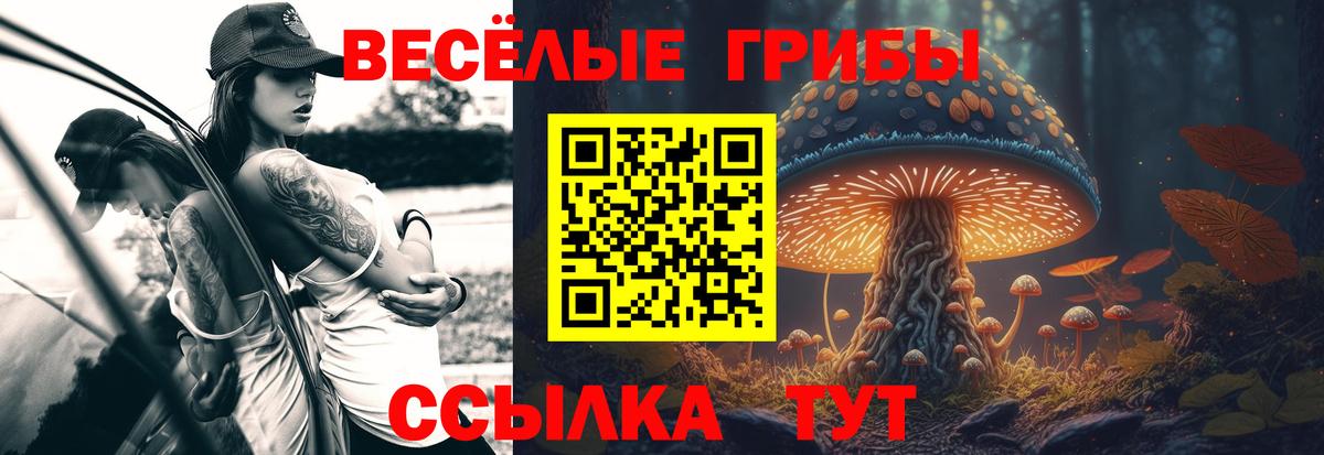 ГАШИШ  КОКАИН  А ПВП СК кристаллы  Меф МЯУ МЯУ   ЭКСТАЗИ  Кумертау  LSD-25  Вход с VPN  Каннабис  Мефедрон 