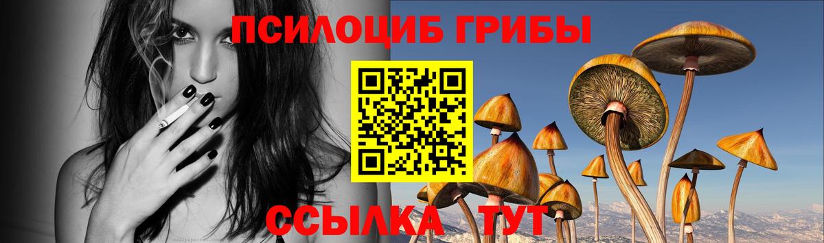 Галлюциногенные грибы ЛСД  Вход с VPN  как найти закладки  Кумертау  Псилоцибиновые грибы GOLDEN TEACHER 
