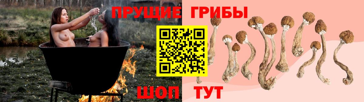 Галлюциногенные грибы ЛСД Кумертау